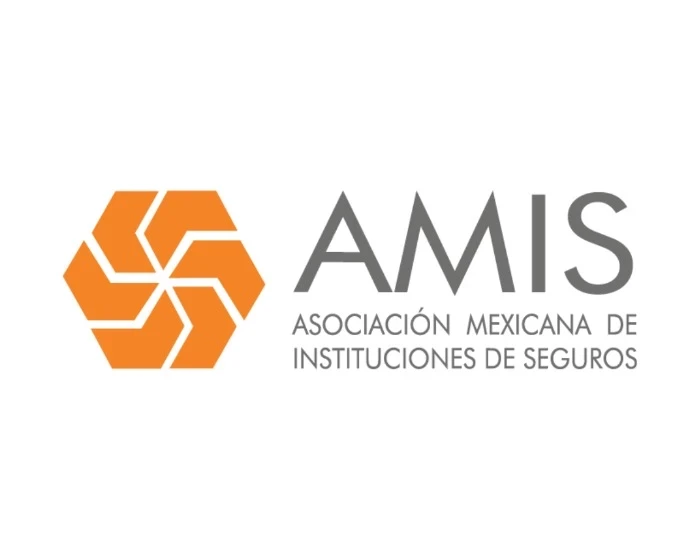 Cada día se roban 173 vehículos asegurados en México