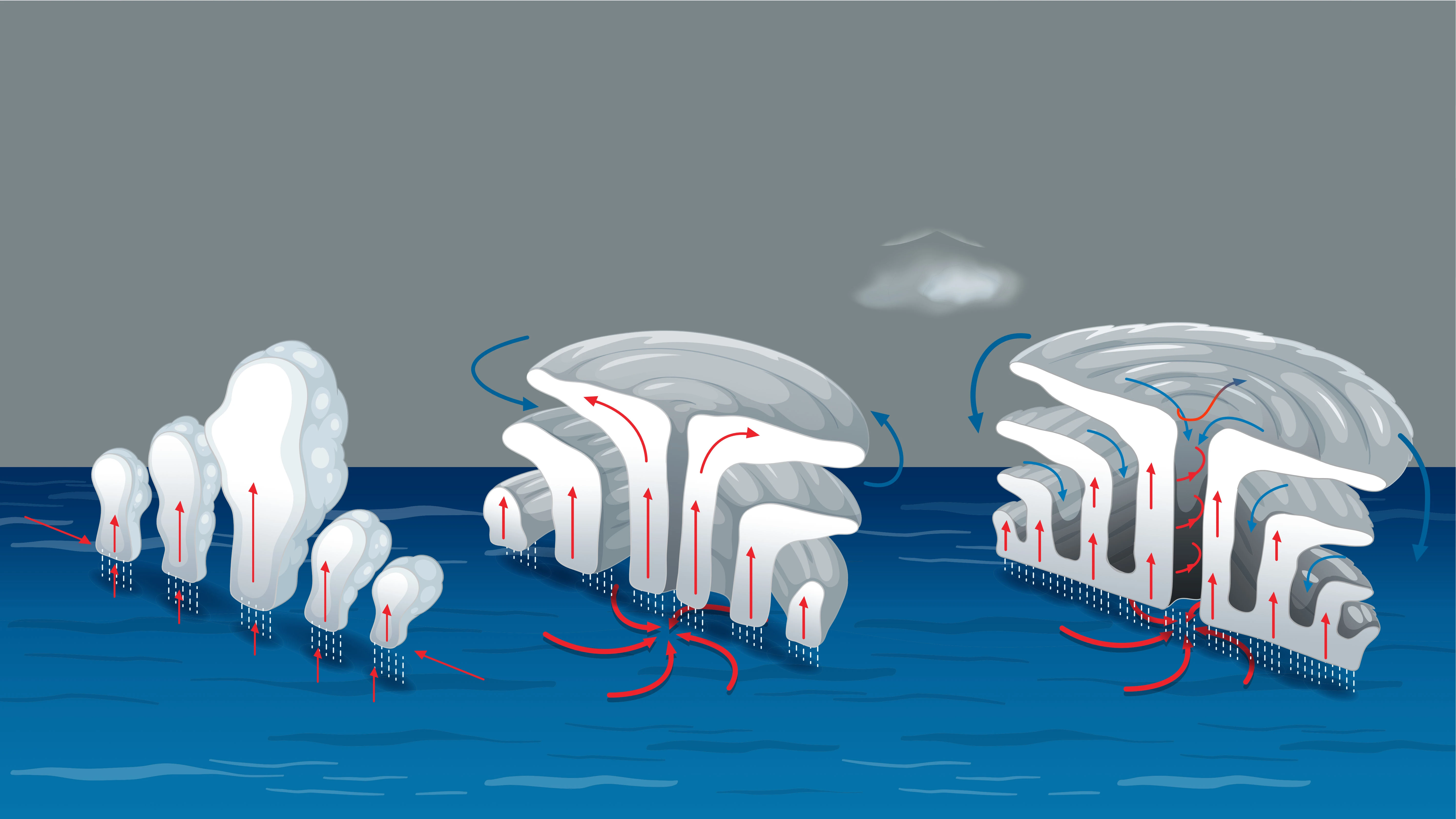 ¿Cuáles son la etapas de un ciclón tropical?