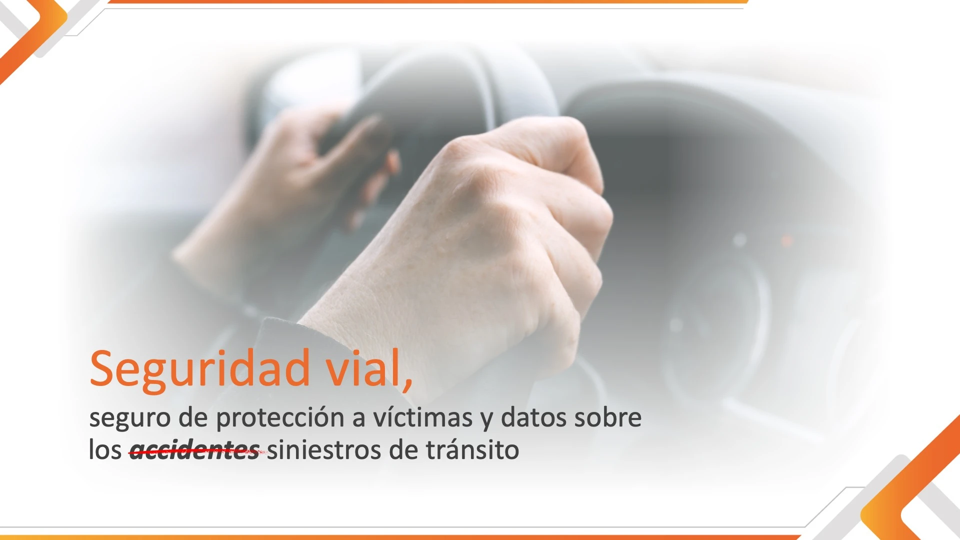 Seguridad Vial y vehículos robados 2023- 2024