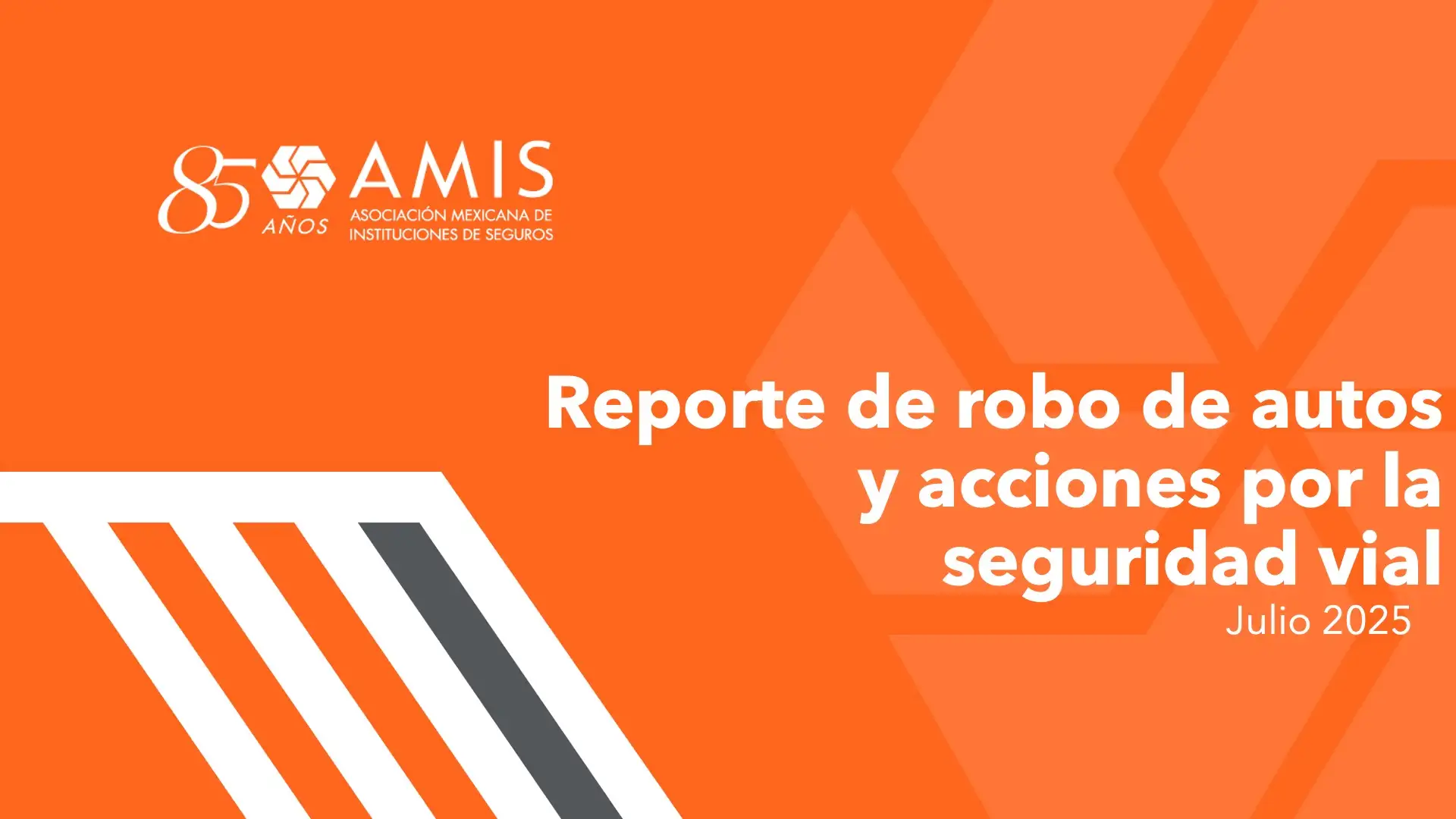 Presentación Reporte de robo de autos y acciones por la seguridad vial