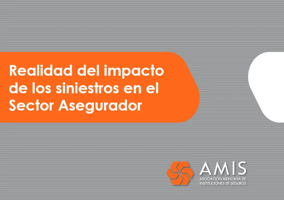 Realidad del impacto  de los siniestros en el  Sector Asegurador